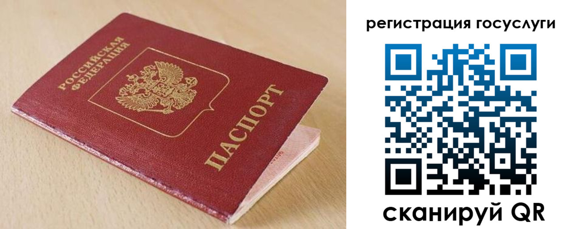 временная регистрация гарантия в Сальске