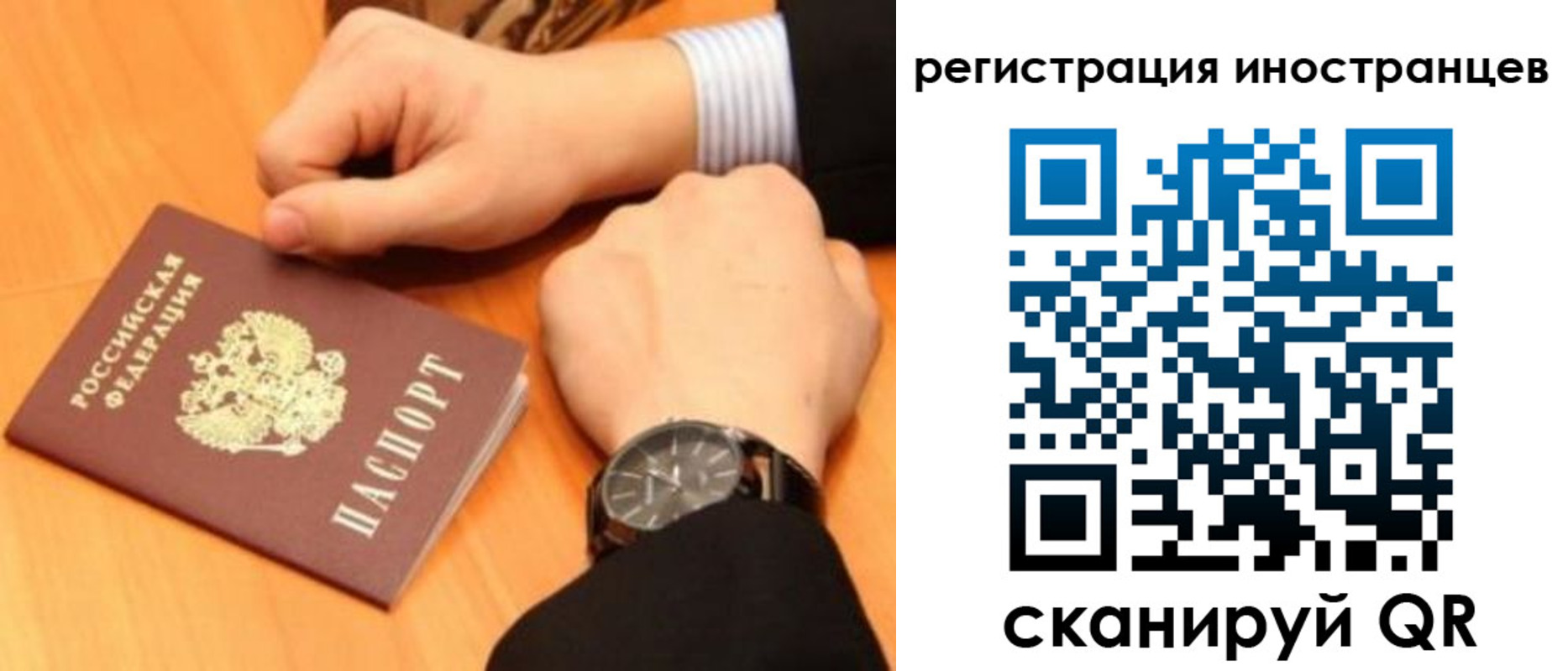 прописка гарантия в Сальске